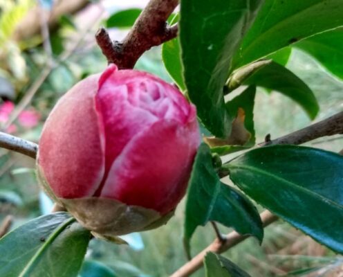 Let’s Do Something Different This Year!